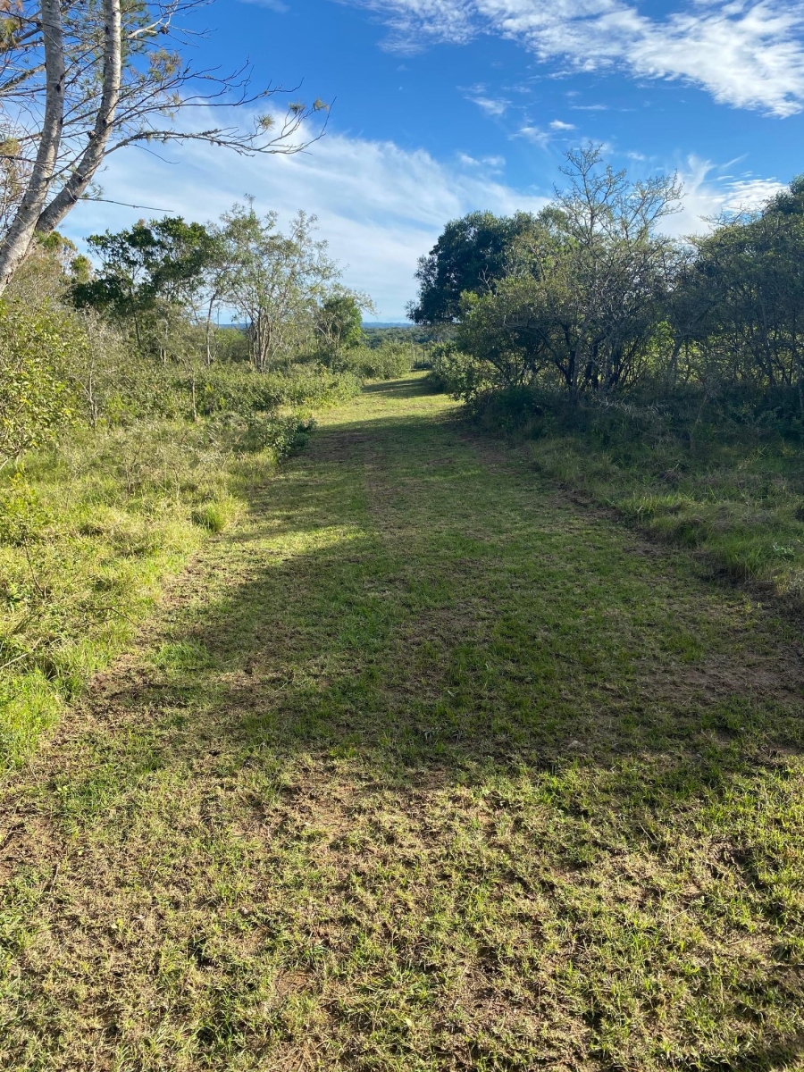 0 Bedroom Property for Sale in Bathurst Eastern Cape
